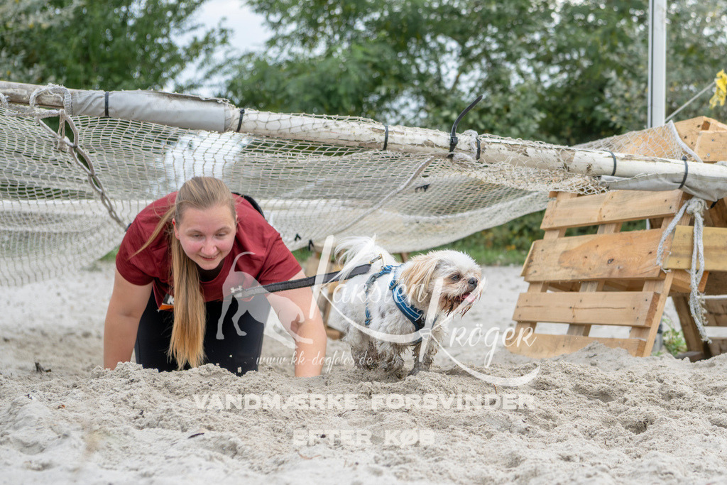 1515_ZZ93805 | kk-dogfotos