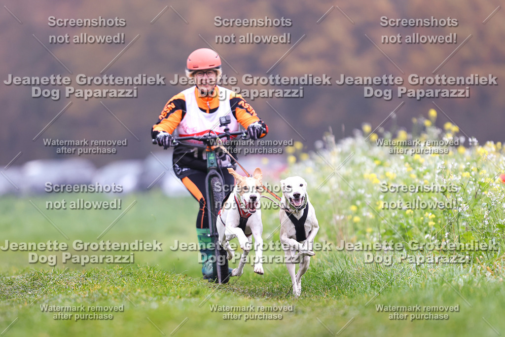 Dog Paparazzi - Visbeck 25 -97 | Dog Paparazzi Jeanette Grottendiek Fotografie & Videografie - Realisiert mit Pictrs.com
