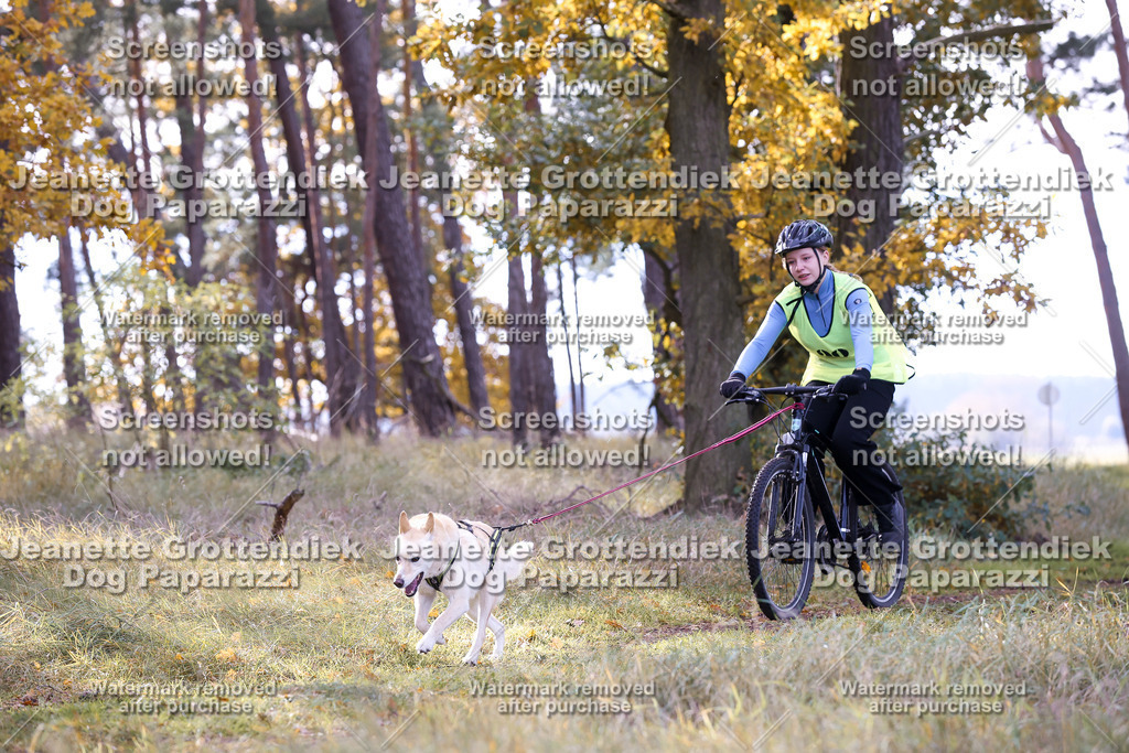 Dog Paparazzi - Elsholz 25 -161 | Dog Paparazzi Jeanette Grottendiek Fotografie & Videografie - Realisiert mit Pictrs.com