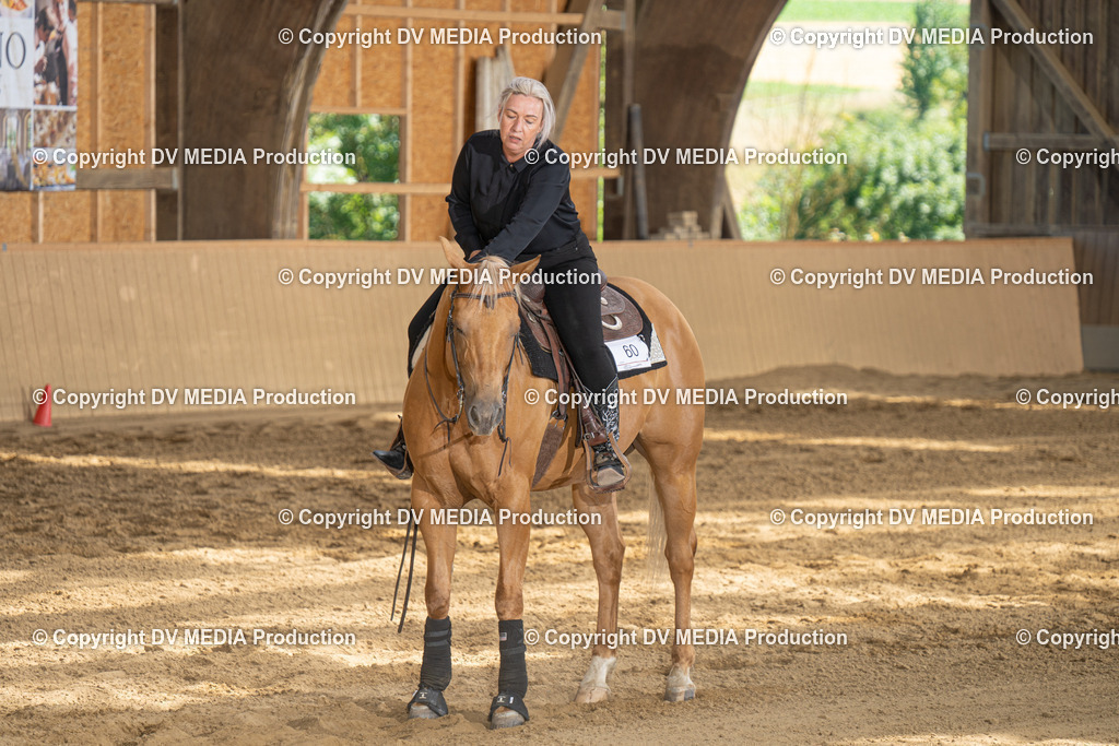 DSC00212 | dv-media-shop - Realisiert mit Pictrs.com