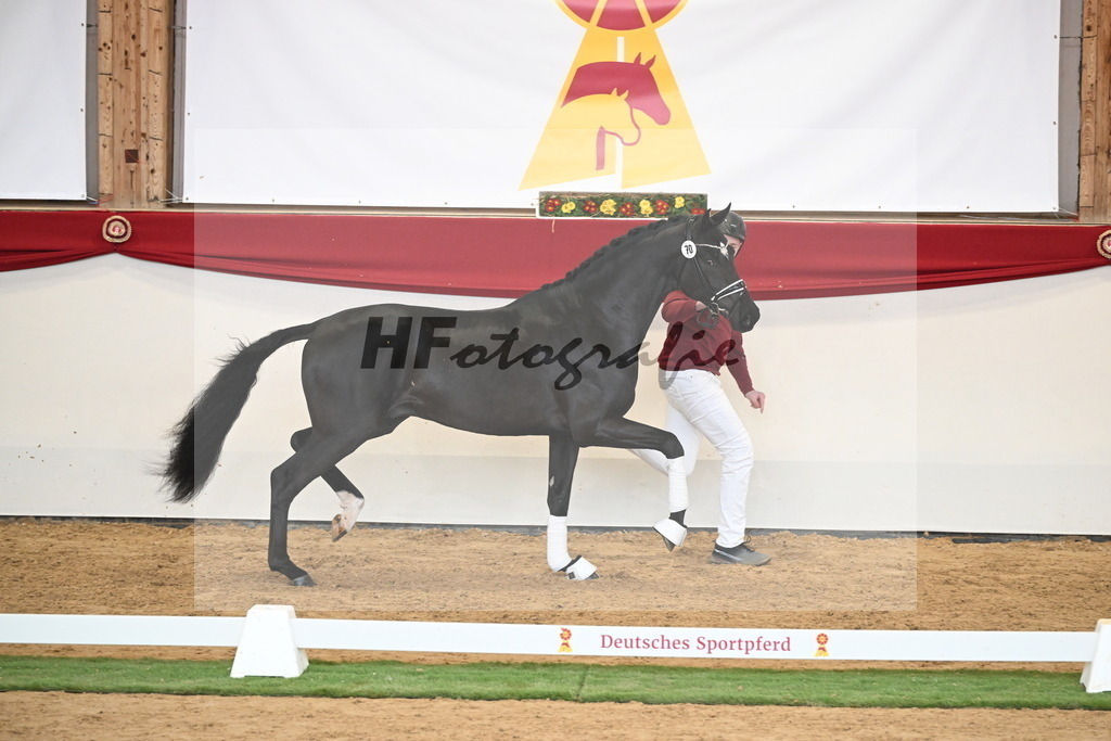 Kat.-Nr. 70 v. Iron_Klausing_2250518 | hf-fotografie - Realisiert mit Pictrs.com