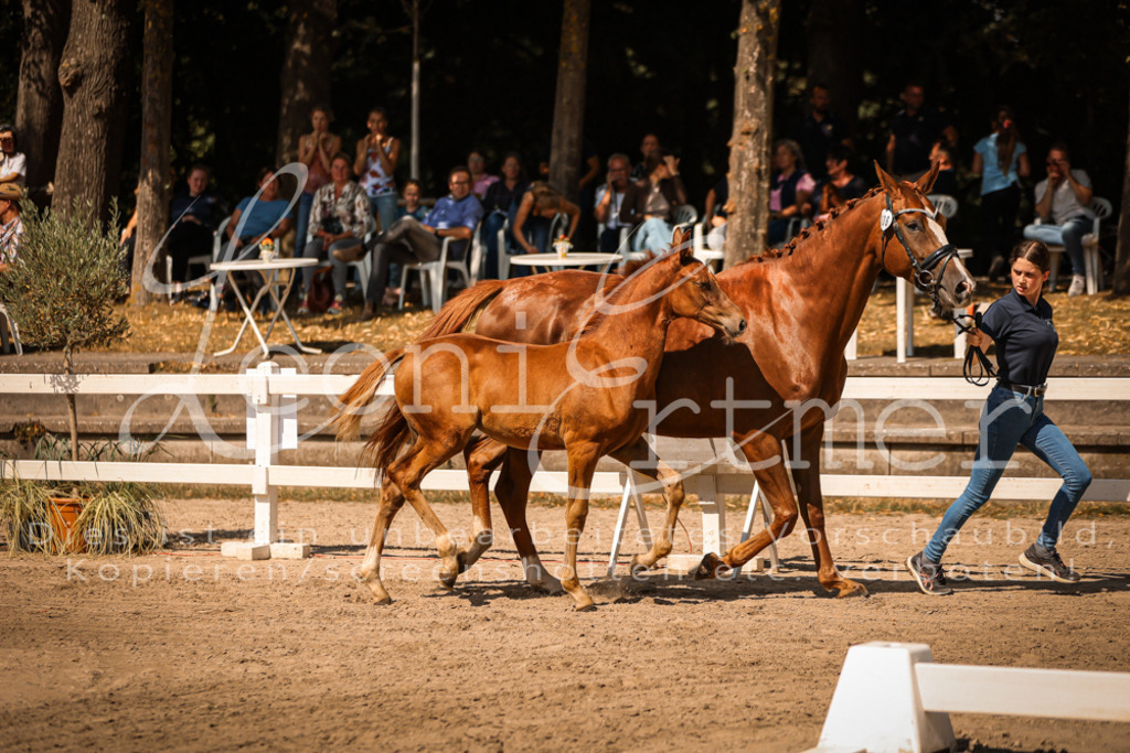 07.DoWBS00032 | Leoni Ertmer Photography - Realisiert mit Pictrs.com