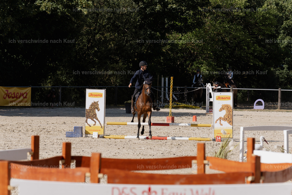 WS_SP_38_SinaFilmArt_IN08984 | working equitationturnier fotograf videograf stoibphotography marixx film working equitation deutschland reitsport turnierfotografie eventfotografie equestrian events