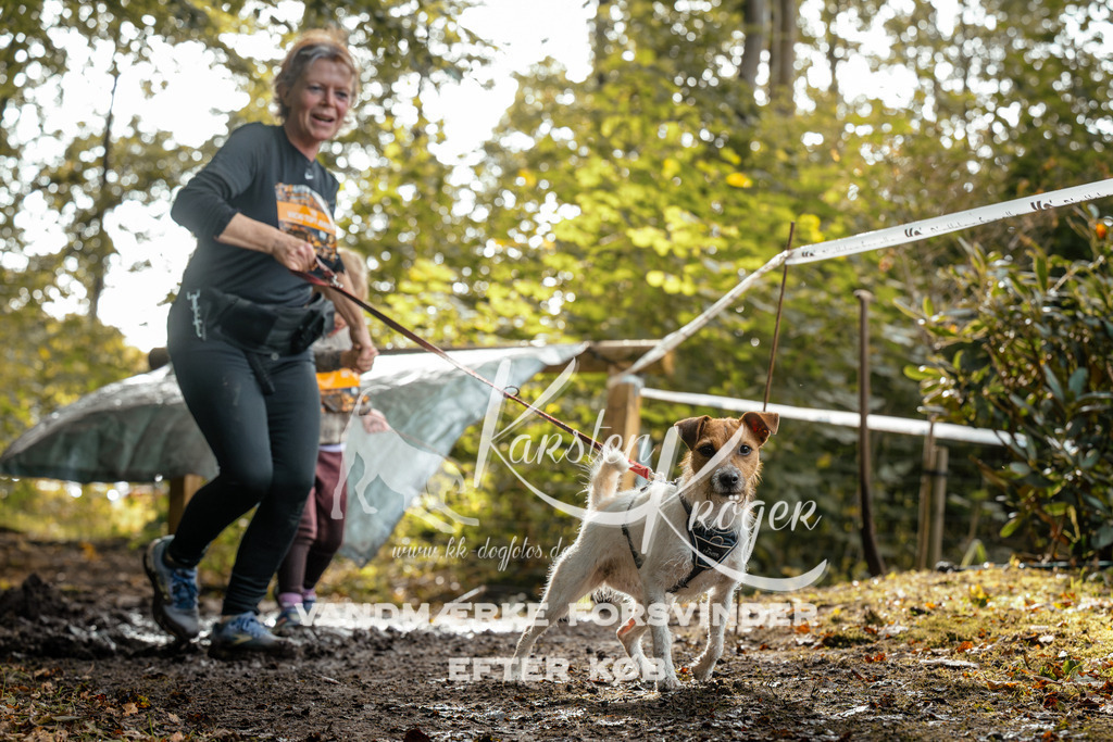 1452DZ6_3690Z6 | kk-dogfotos