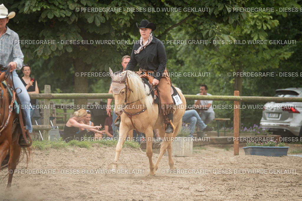 DSC03218 | Pferdegrafie