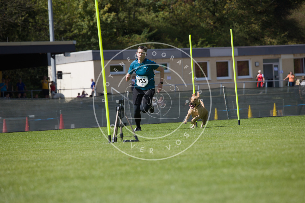 0L8A2955 | Hundefotografie, Tierfotograf, Pfotenfotografie, Fotoshooting Hund, Hunde Portrait, Hundesport, Hundeportraits, Heideshooting, Hunde, Sportfotograf, Hundefotograf, Turnierhundsport, THS,  - Realisiert mit Pictrs.com