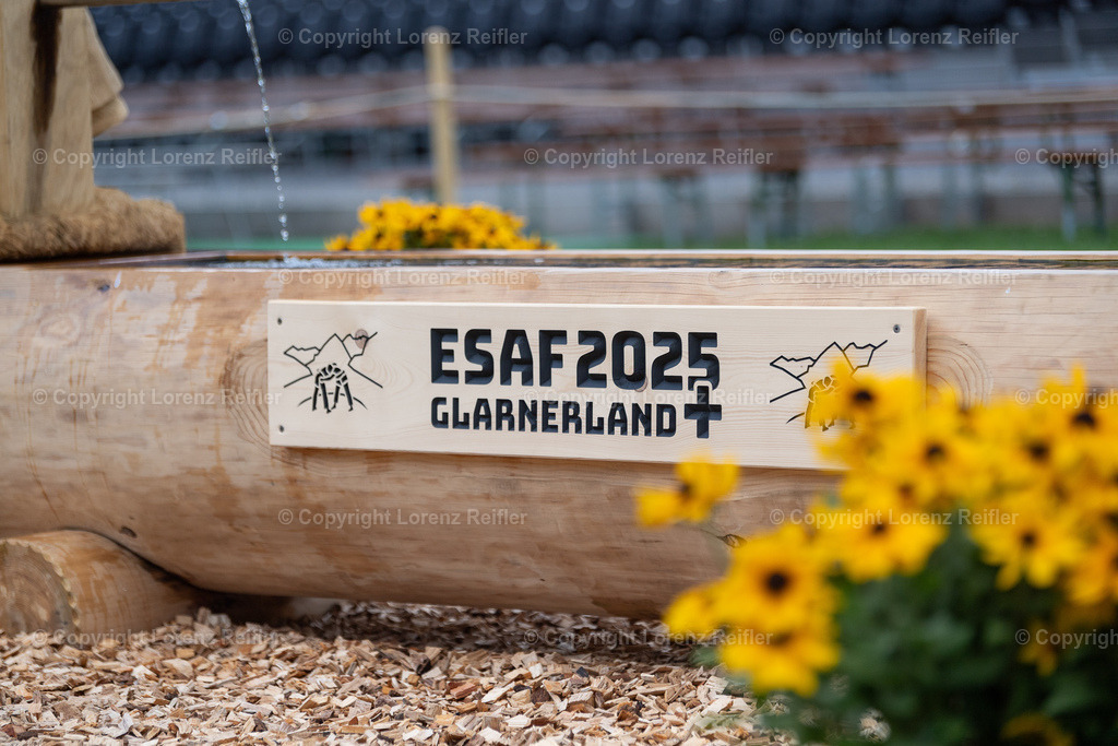 Schwingen -  ESAF Freitag Festumzug 2025 | Mollis, 29.8.25, Schwingen - ESAF Freitag Festplatz Brunnen.