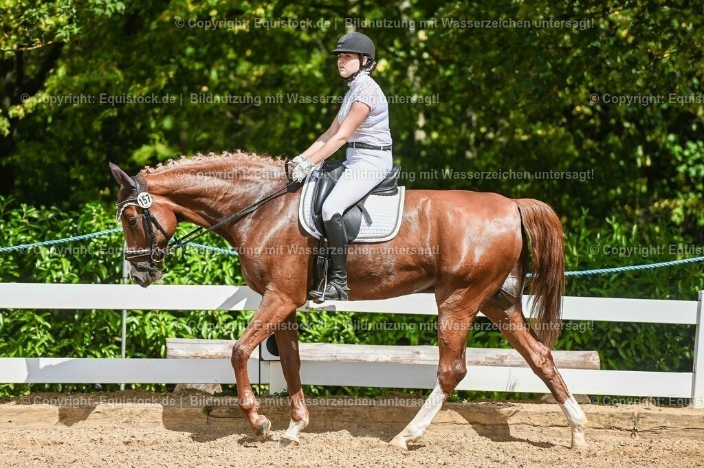 20230715_02_Dressurreiterprüfung Kl.L_0239 | equistock