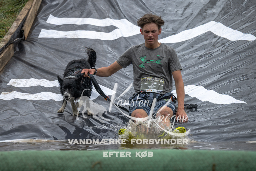 1500_ZZ91740 | kk-dogfotos