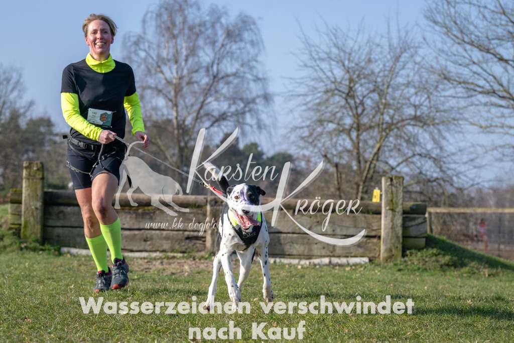 _ZZ94818 | kk-dogfotos