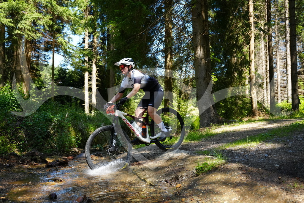 FC101881 | Fotogalerie der Treibjagd im Dunkelwald - Dein MTB Etappenrennen im Erzgebirge - Realisiert mit Pictrs.com