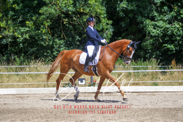 DKP46594 | Turniersportfotografie; Pferdefotografie; Dressurfotografie