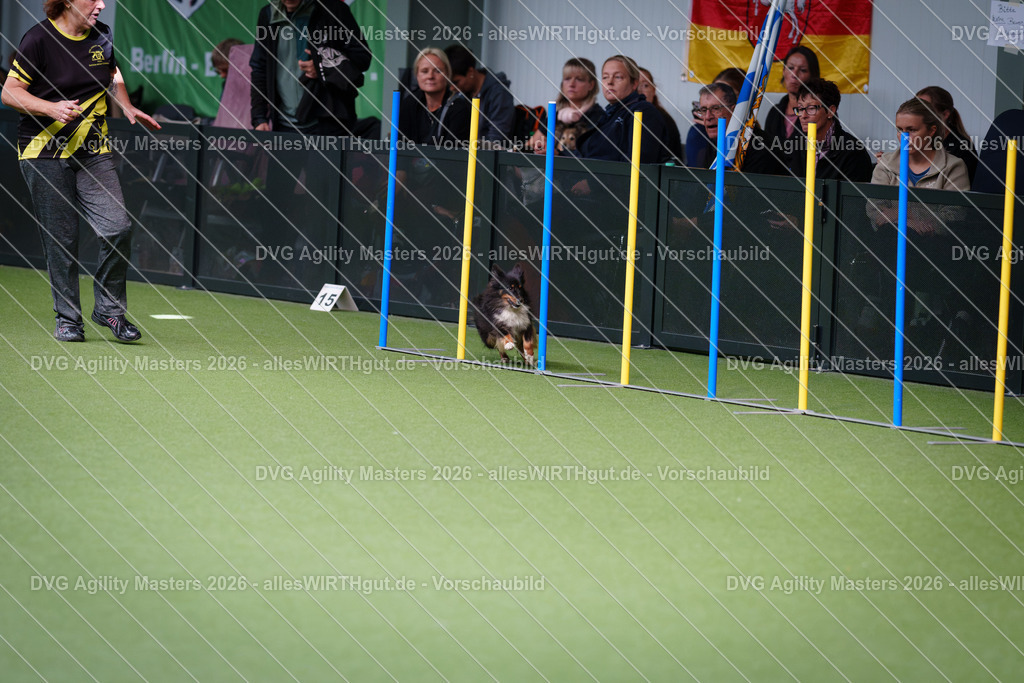 allesWIRTHgut_Tierfotografie-DVG_Agility_Masters_2026-12_06-7R507297 | Professionelle Tierfotografie in Mönchengladbach von Daniel Wirth (allesWIRTHgut). Liebevolle & natürliche Bilder von Hunden & Katzen für unvergessliche Erinnerungen.
