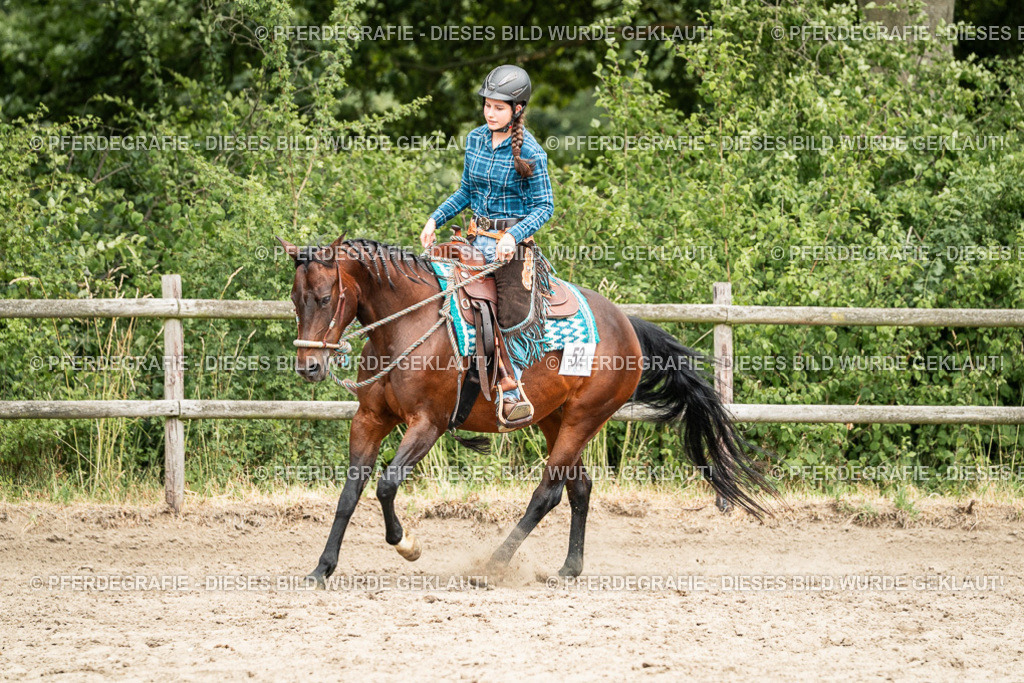 DSC01526 | Pferdegrafie