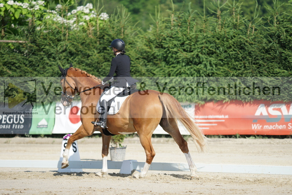 DSC04444 | equestrian-live-com