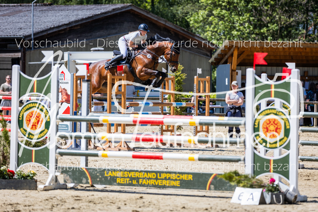 Donop24-L-Spr-044 | MomenTaufnahmen Pferdesportfotos