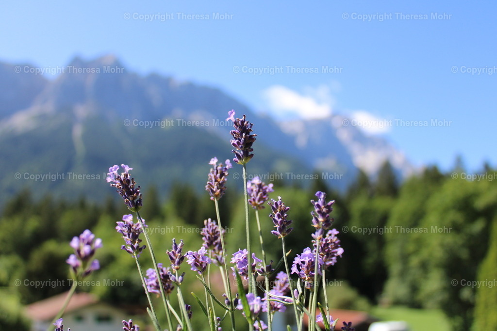 IMG_1465 | Naturpuls - Realisiert mit Pictrs.com