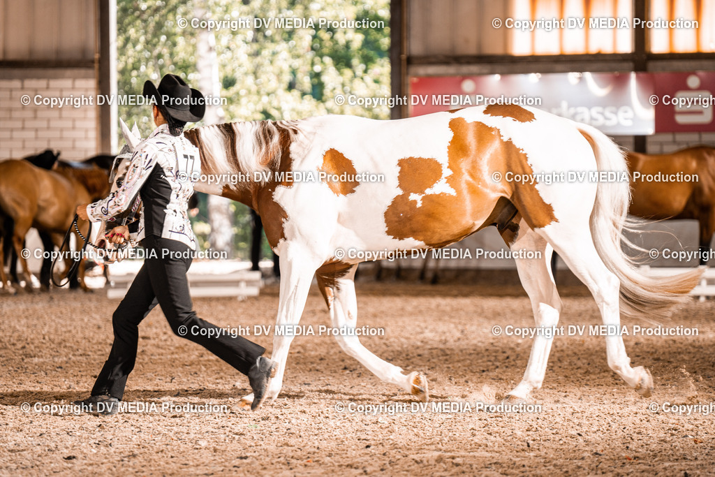 ZH100033 | dv-media-shop - Realisiert mit Pictrs.com