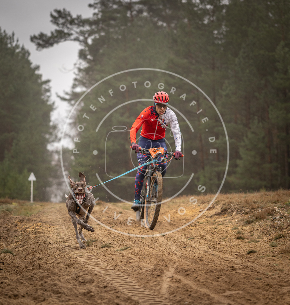Pfotenfotografie_DV3A2393 | Hundefotografie, Tierfotograf, Pfotenfotografie, Fotoshooting Hund, Hunde Portrait, Hundesport, Hundeportraits, Heideshooting, Hunde, Sportfotograf, Hundefotograf, Turnierhundsport, THS,  - Realisiert mit Pictrs.com
