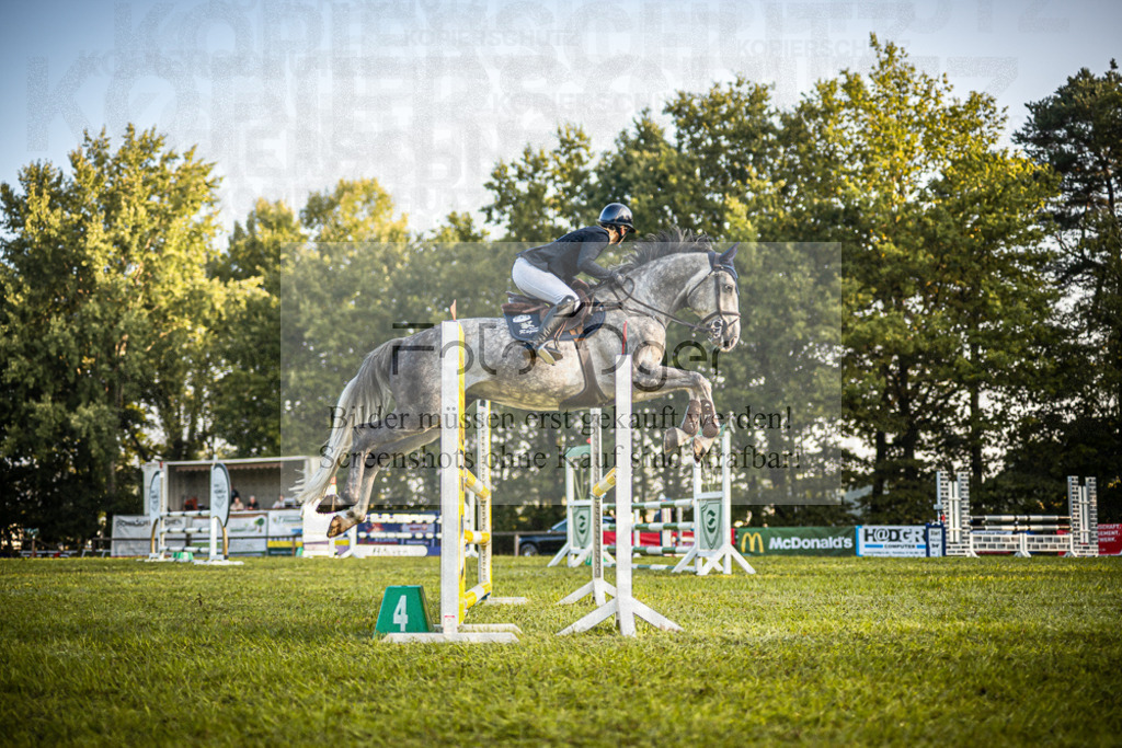 Z63_0111 | Entdecke hochwertige Reitturnierfotos von Foto Oger. Professionell, emotional und authentisch – jetzt Lieblingsmomente im Shop bestellen.Deutschlandweite Turnierfotografie. - Realisiert mit Pictrs.com