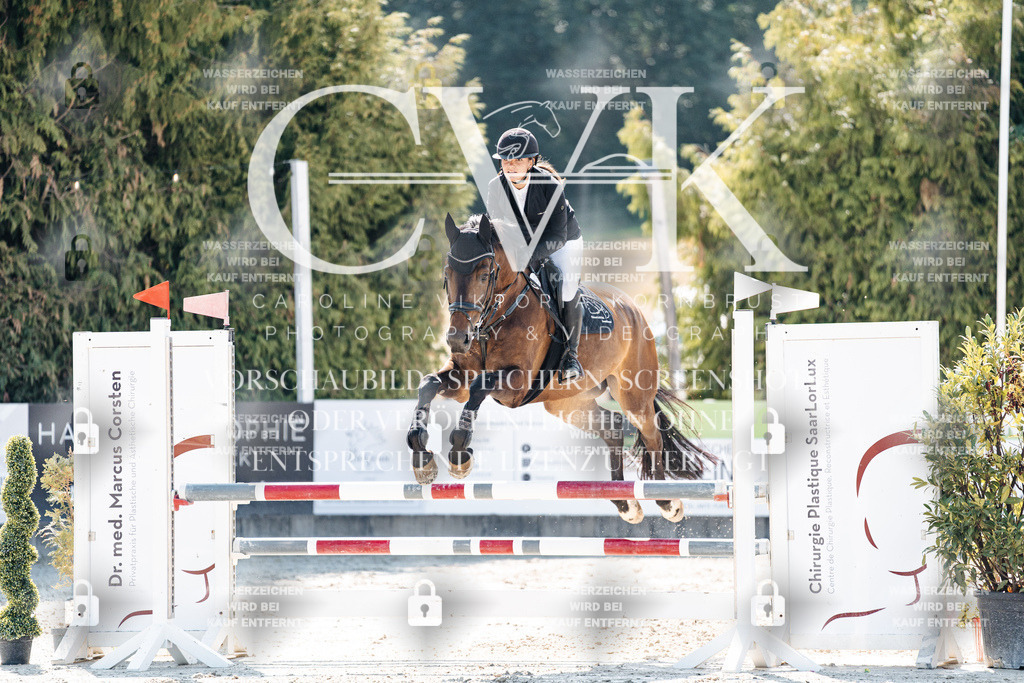 CK908261 | Turnierfotografie Pferdefotografie Trier Rheinland-Pfalz Pferdesport Reitsport Tierfotografie Sportfotografie Pferdevideo Pferdevideografie Equestrianvideography equestrianphotography  - Realisiert mit Pictrs.com
