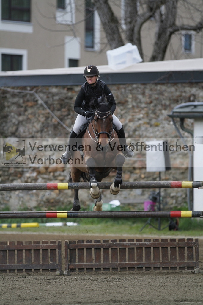 _MG_6504 | equestrian-live-com