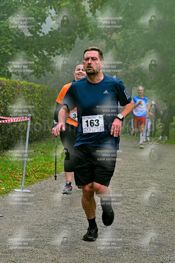 Z8N_1590 | la-psv - Realisiert mit Pictrs.com