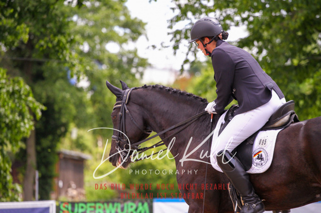 DKP41184 | Turnierfotos kaufen im Webshop von Daniel Kuhl Photography – entdecke professionelle Reitsportfotos aus Turnieren & Events. Hochwertige Turnierbilder online bestellen & sichern. Jetzt Fotos von Reitsportturnieren kaufen!