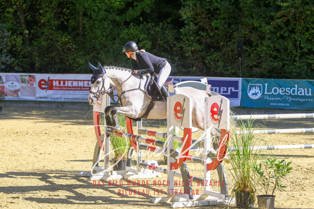 DKP42965 | Turniersportfotografie; Pferdefotografie; Dressurfotografie