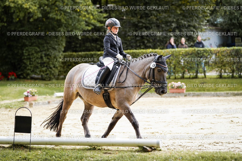 DSC05494 | Pferdegrafie