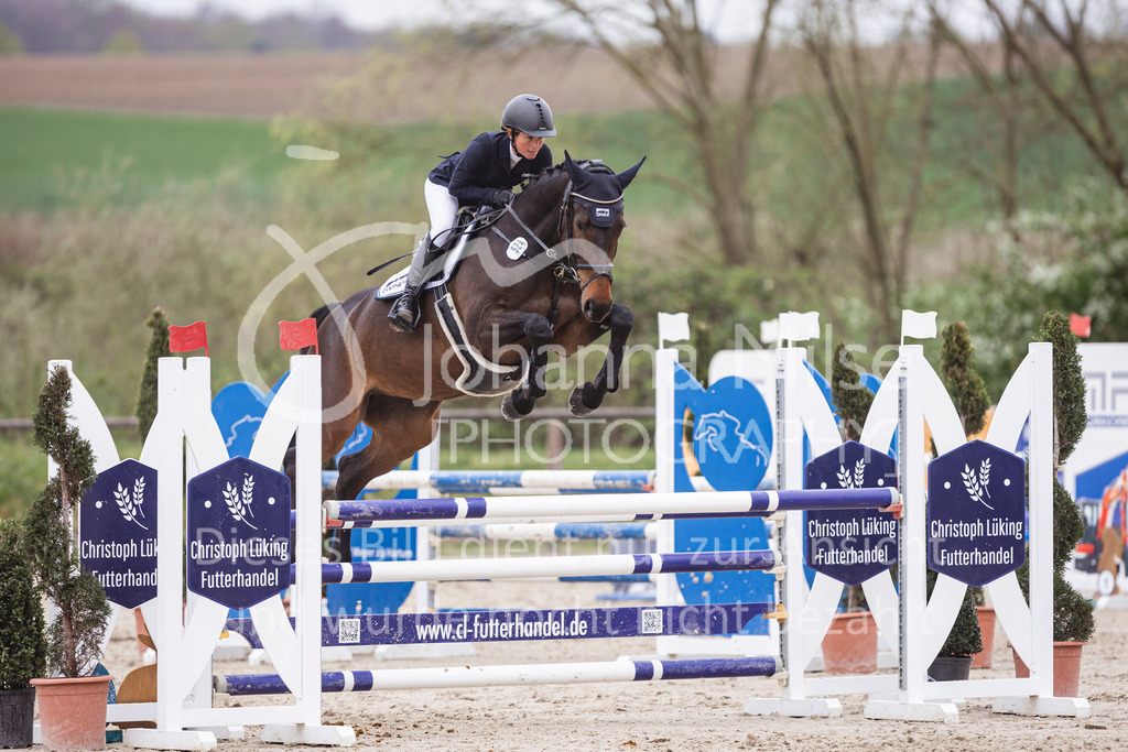 250417_Springpferde-L2-345 | Deine schönsten Turniermomente als professionelle Fotos! Entdecke hochwertige Pferdesport-Fotografie im Online-Shop. Jetzt Fotos finden & bestellen!