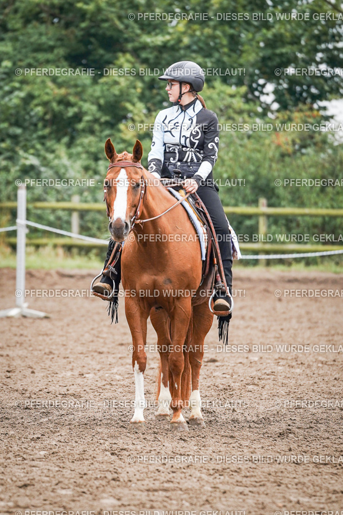 DSC02046 | Pferdegrafie