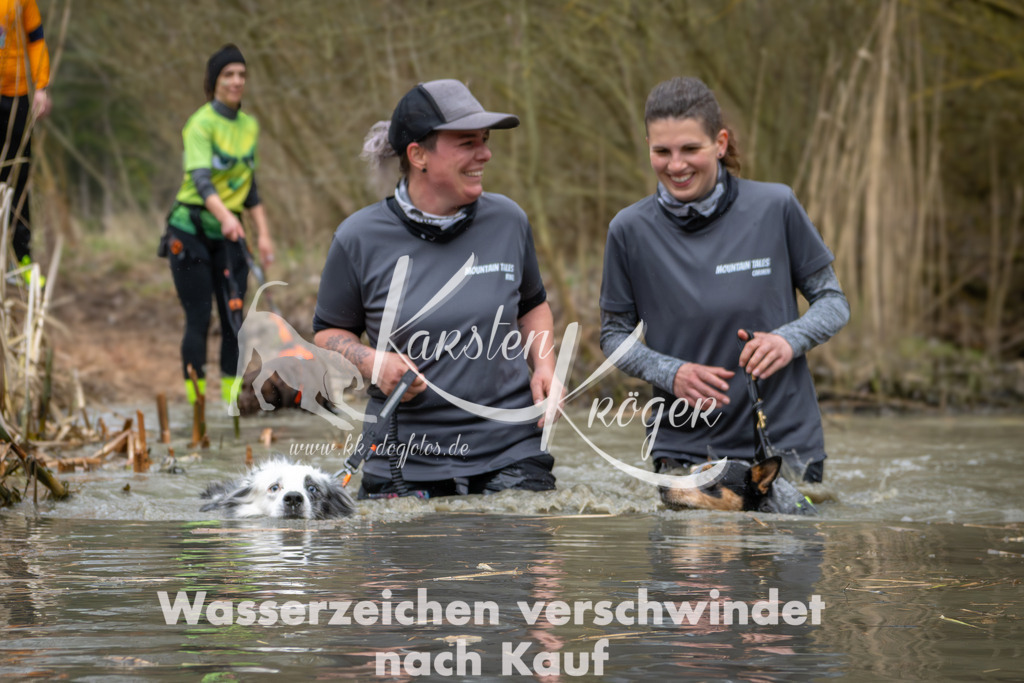 1354_ZZ94357 | kk-dogfotos