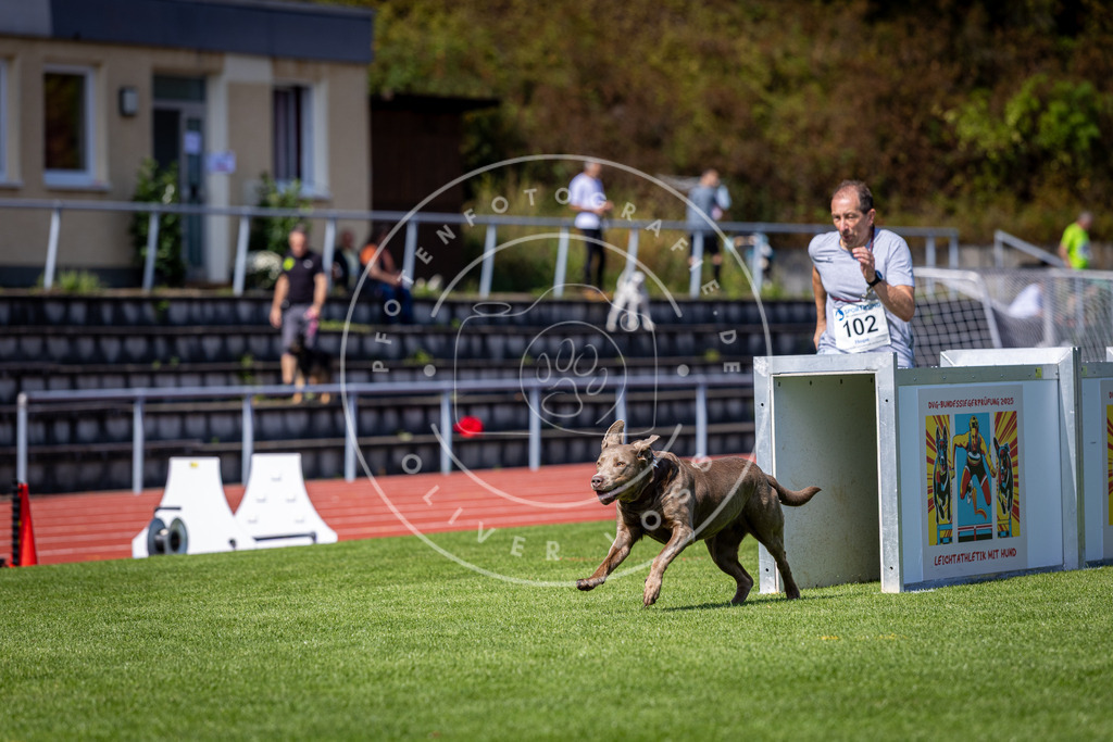 Pfotenfotografie_DV3A8058 | Hundefotografie, Tierfotograf, Pfotenfotografie, Fotoshooting Hund, Hunde Portrait, Hundesport, Hundeportraits, Heideshooting, Hunde, Sportfotograf, Hundefotograf, Turnierhundsport, THS,  - Realisiert mit Pictrs.com