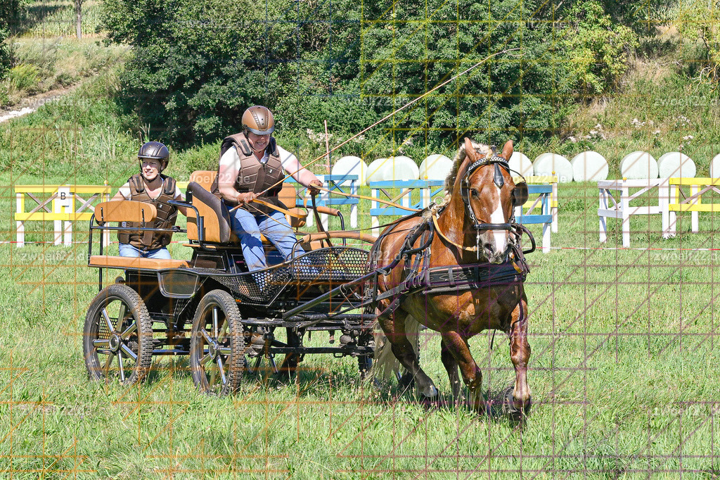 30 Jahre RFV Pulsnitz e.V., Pulsnitz am 09.08.2026 | 30Jahre Reit- und Fahrverein Pulsnitz e.V., Pulsnitz am 08.08.2026Zur 28. breitensportlichen Veranstaltung des RFV Pulsnitz e.V. fanden verschiedene Wettbewerbe in nahezu allen Disziplinen des Pferdesport statt.- Geländefahr-Wettbewerb - Realisiert mit Pictrs.com