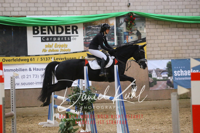 IMG_0664 | Turnierfotos kaufen im Webshop von Daniel Kuhl Photography – entdecke professionelle Reitsportfotos aus Turnieren & Events. Hochwertige Turnierbilder online bestellen & sichern. Jetzt Fotos von Reitsportturnieren kaufen!