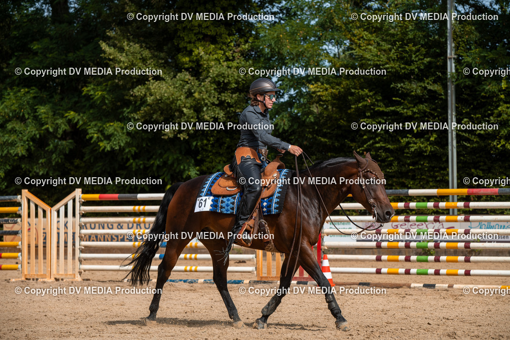 EWP_5888 | dv-media-shop - Realisiert mit Pictrs.com