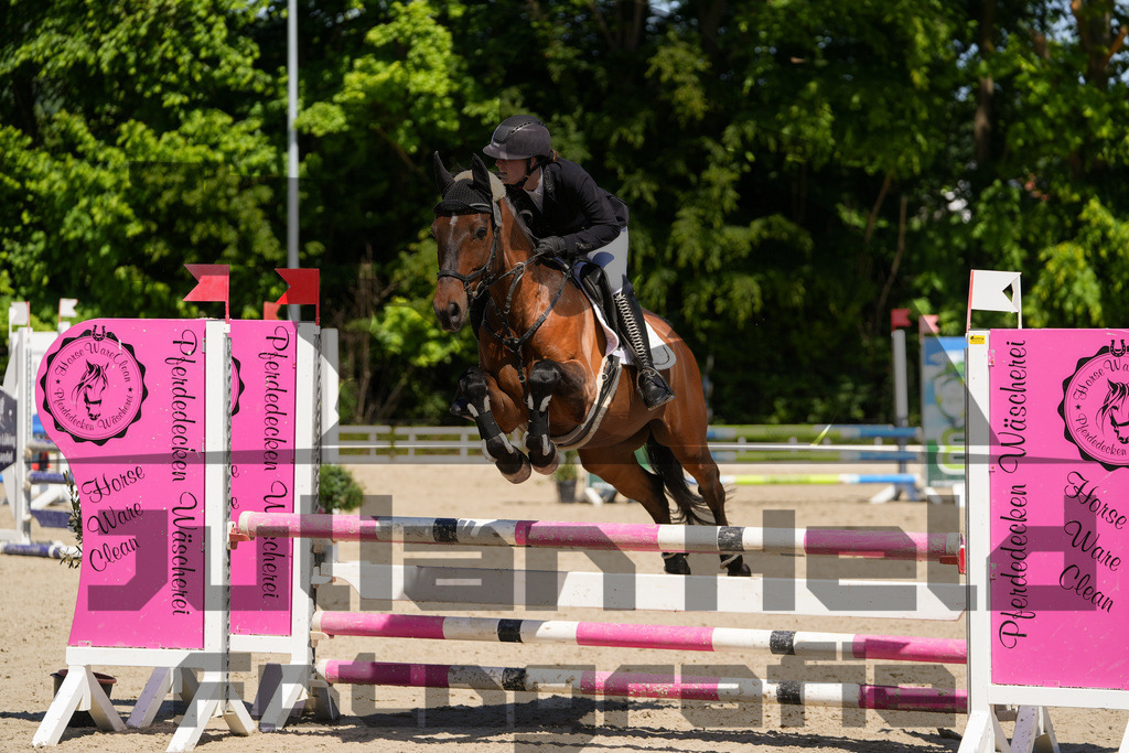 DSC02287 | Julian Held Fotografie - Realisiert mit Pictrs.com