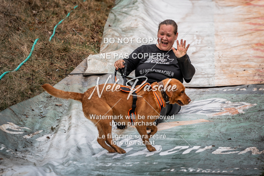 nelerasche_1330-1400_65 | nelerasche