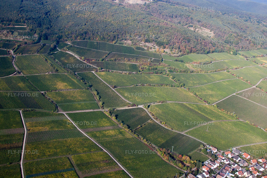 Luftbild: Weinlage Hahnenböhler Kreutz Kreuz über Forster Ungeheuer in Forst an der Weinstraße im Bundesland Rheinland-Pfalz in Deutschland. Foto: IMG_21994.jpg vom 15.10.2009 durch Werner Riehm/FLY-FOTO.de