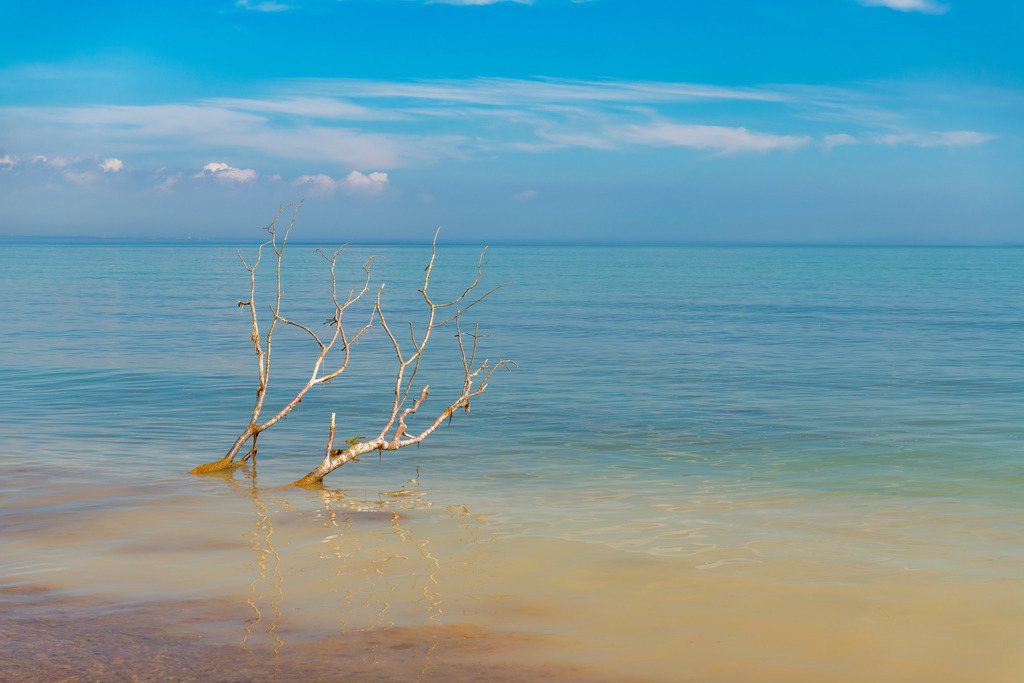 2025_04_16_TRAVEMUENDE_MCP8026 | Hochwertig gedruckte Fotografien für die Wand, als Kalender und zum Verschenken. Hamburg & Norddeutschland und überall wo ich mit der Kamera unterwegs war.