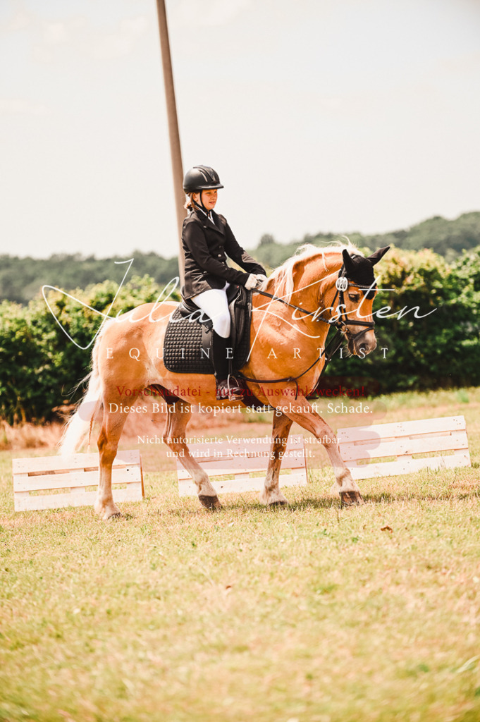 DSC_6367 | Pferde- und Turnierfotografie in Westsachsen. Pferdeportraits, Auftragszeichnungen und intuitive Kunst.