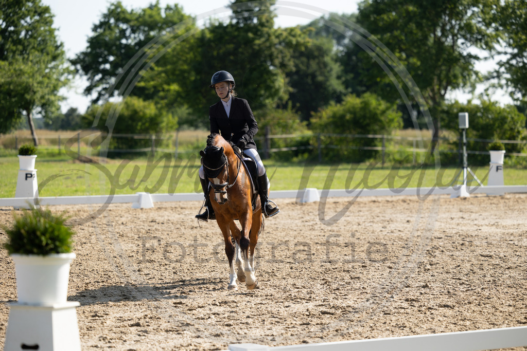 994A4296 | sabrinanicolaifotografie - Realisiert mit Pictrs.com