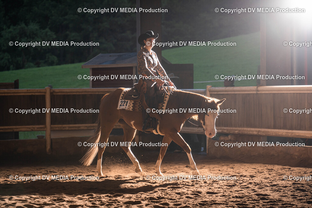 Erbach Tag 1-1165 | dv-media-shop - Realisiert mit Pictrs.com