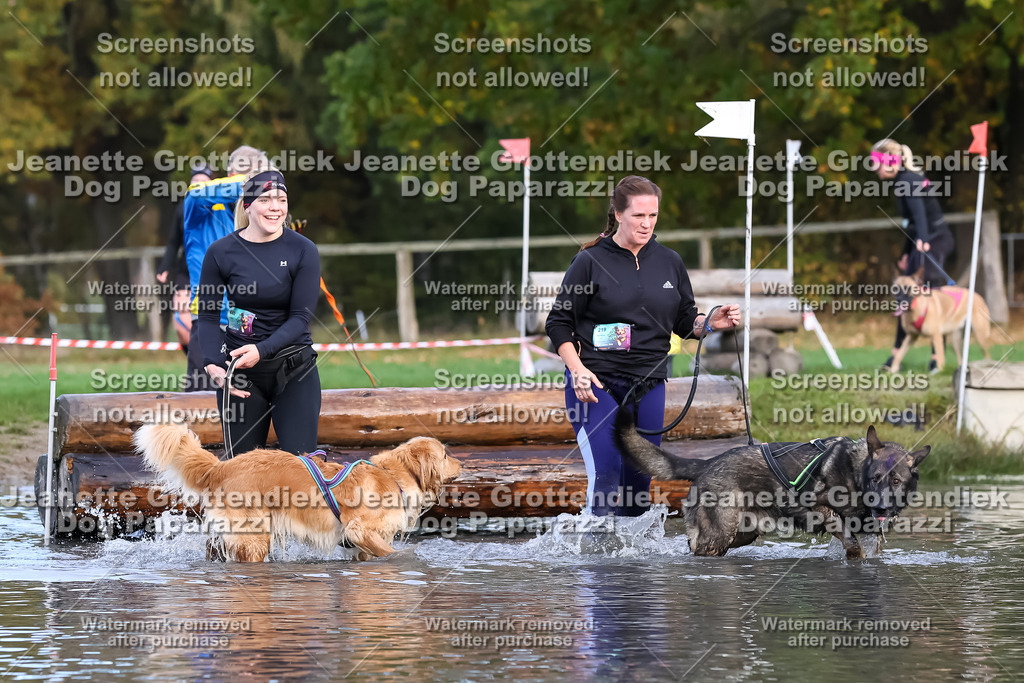 Dog Paparazzi - Strongdog 10-25-6967 | Dog Paparazzi Jeanette Grottendiek Fotografie & Videografie - Realisiert mit Pictrs.com