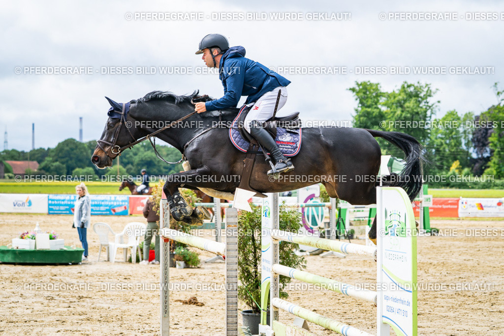 DSC04171 | Pferdegrafie