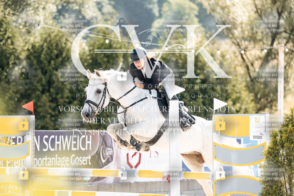 CK907671 | Turnierfotografie Pferdefotografie Trier Rheinland-Pfalz Pferdesport Reitsport Tierfotografie Sportfotografie Pferdevideo Pferdevideografie Equestrianvideography equestrianphotography  - Realisiert mit Pictrs.com