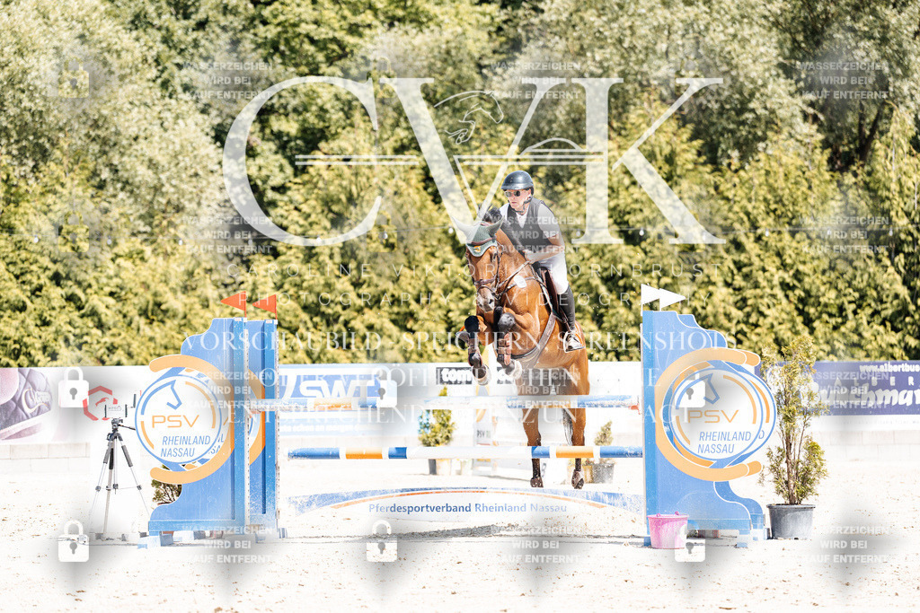 CK900773 | Turnierfotografie Pferdefotografie Trier Rheinland-Pfalz Pferdesport Reitsport Tierfotografie Sportfotografie Pferdevideo Pferdevideografie Equestrianvideography equestrianphotography  - Realisiert mit Pictrs.com