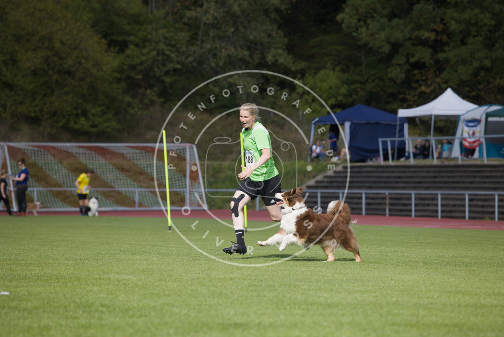 0L8A3402 | Hundefotografie, Tierfotograf, Pfotenfotografie, Fotoshooting Hund, Hunde Portrait, Hundesport, Hundeportraits, Heideshooting, Hunde, Sportfotograf, Hundefotograf, Turnierhundsport, THS,  - Realisiert mit Pictrs.com
