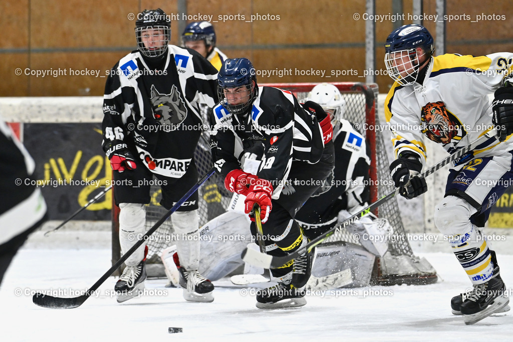 EC Tigers Paternion vs. Tarco Wölfe II | #46 Pirker Garcia Pablo Tarco Wölfe II, #19 Werner Maximilian Tarco Wölfe II, #12 Steiner Domenik EC Tigers Paternion, EC Tigers Paternion vs. Tarco Wölfe II, EC Tigers Paternion vs. Tarco Wölfe II am 19.12.2024 in Spittal an der Drau (Eissportzentrum Spittal), Austria, (Photo by Bernd Stefan)